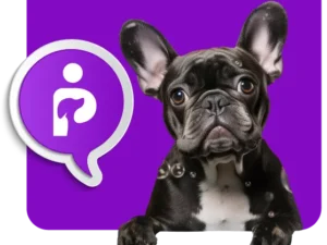 Personalizado
